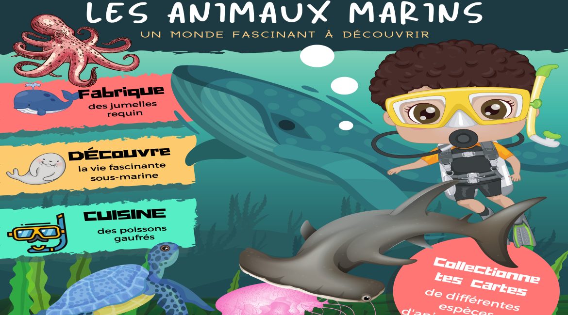 L'Académie des Ouistitis et les animaux marins
