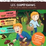 L'Académie des Ouistitis et la cueillette de champignons