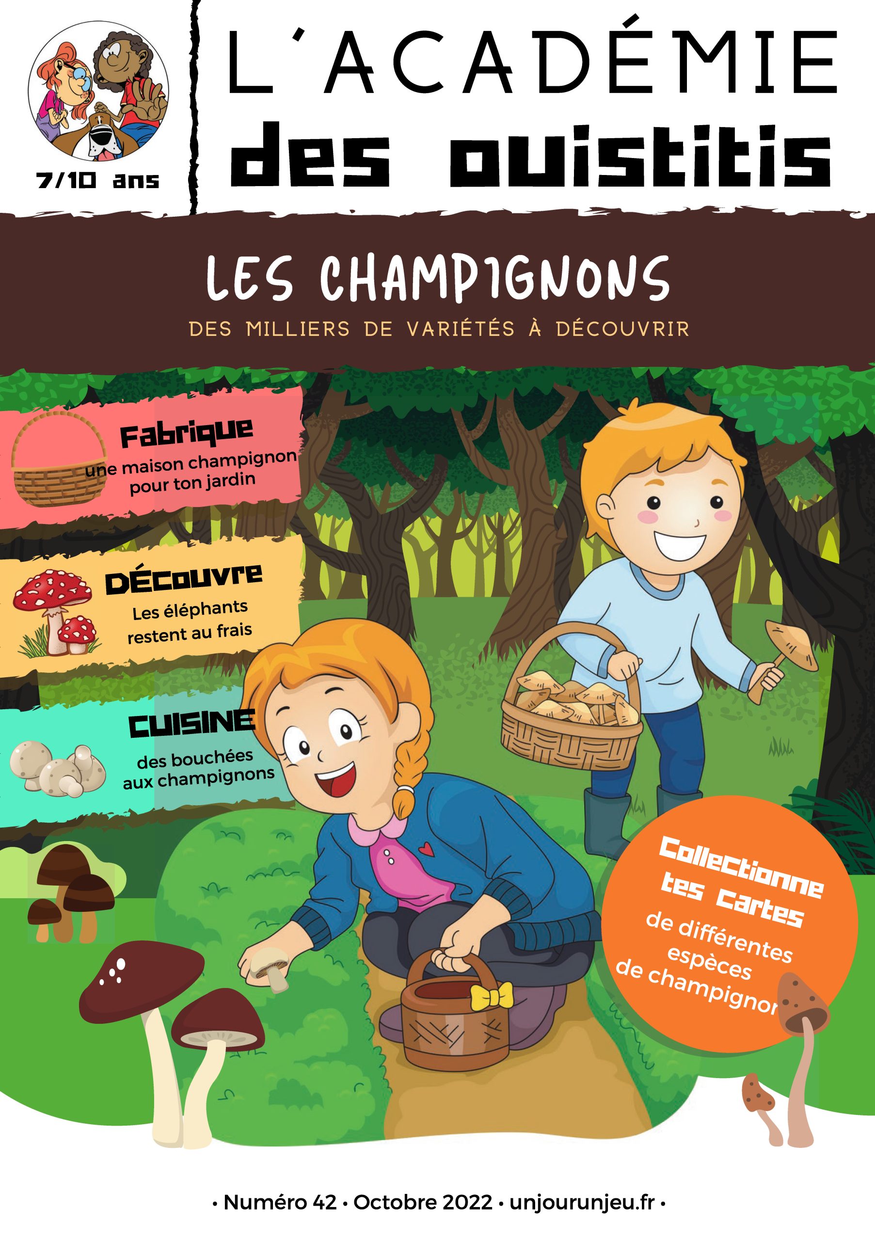 L'Académie des Ouistitis et la cueillette de champignons