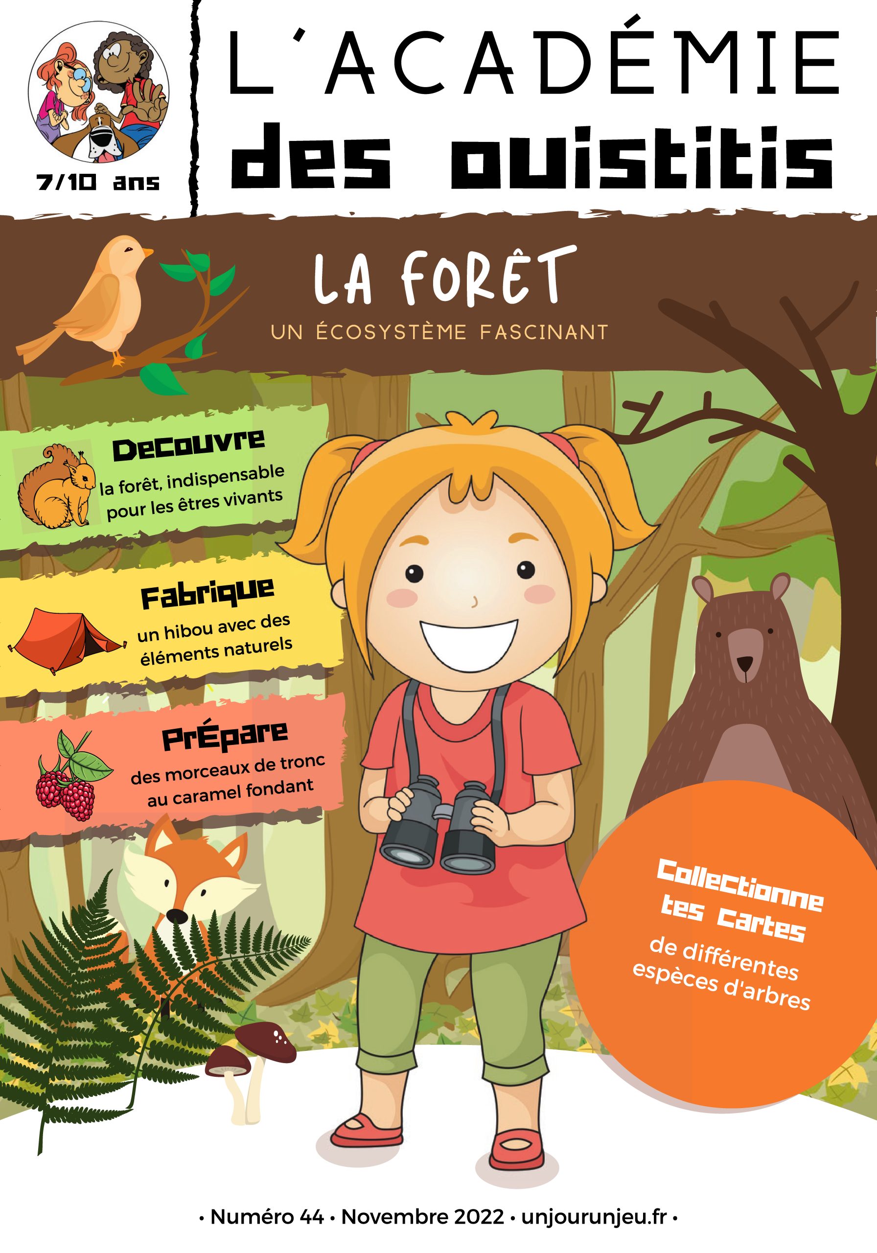 L'Académie des Ouistitis dans la forêt