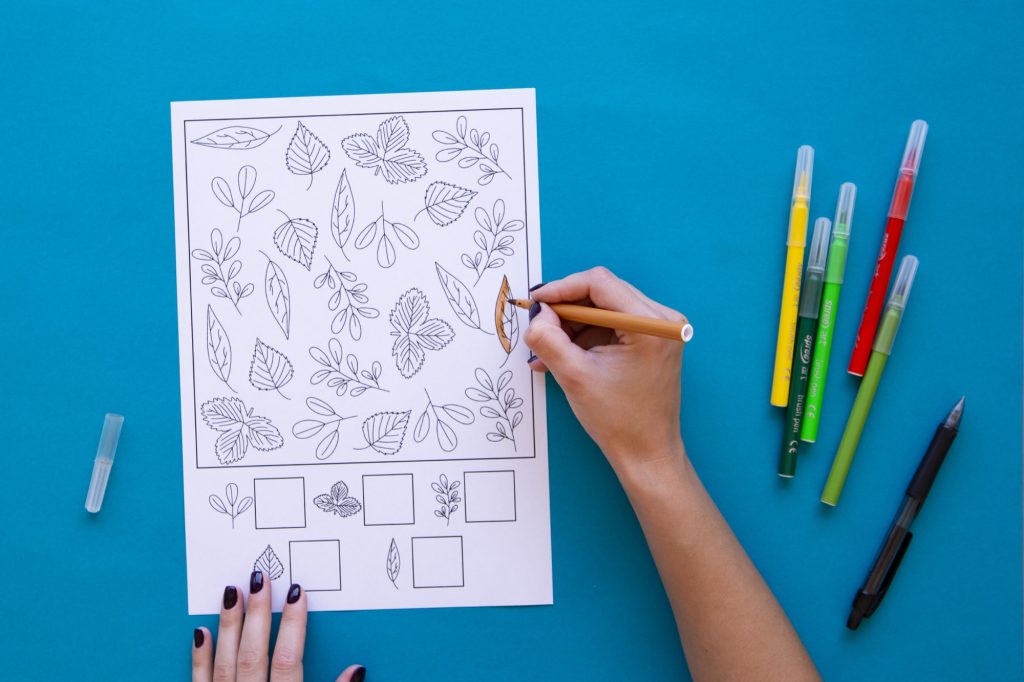 Cherche et compte feuilles d'automne : étape 2