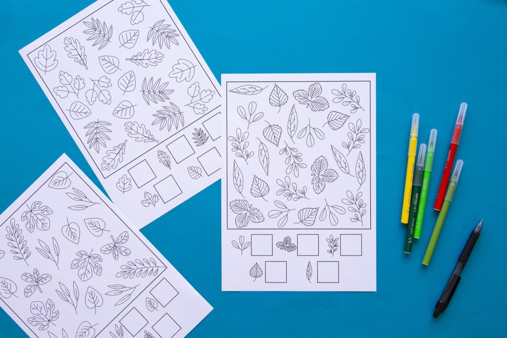 Cherche et compte feuilles d'automne : étape 1