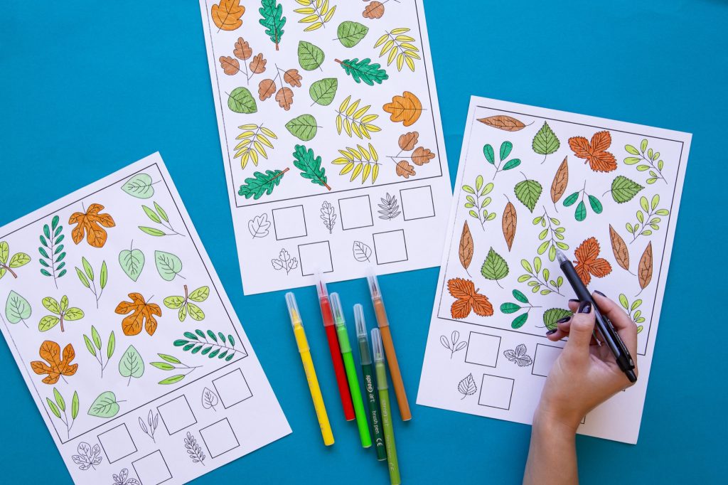 Cherche et compte feuilles d'automne : étape 3