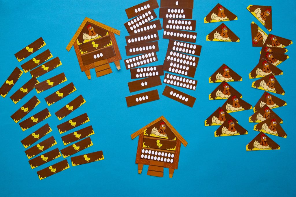 Poules pondeuses : étape 4