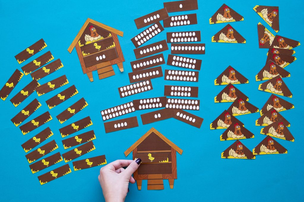 Poules pondeuses : étape 3