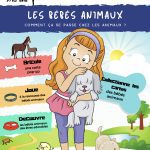 L'Académie des Ouistitis s'occupe des bébés animaux