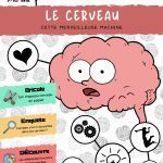 L'Académie des Ouistitis s'intéresse au fonctionnement du cerveau