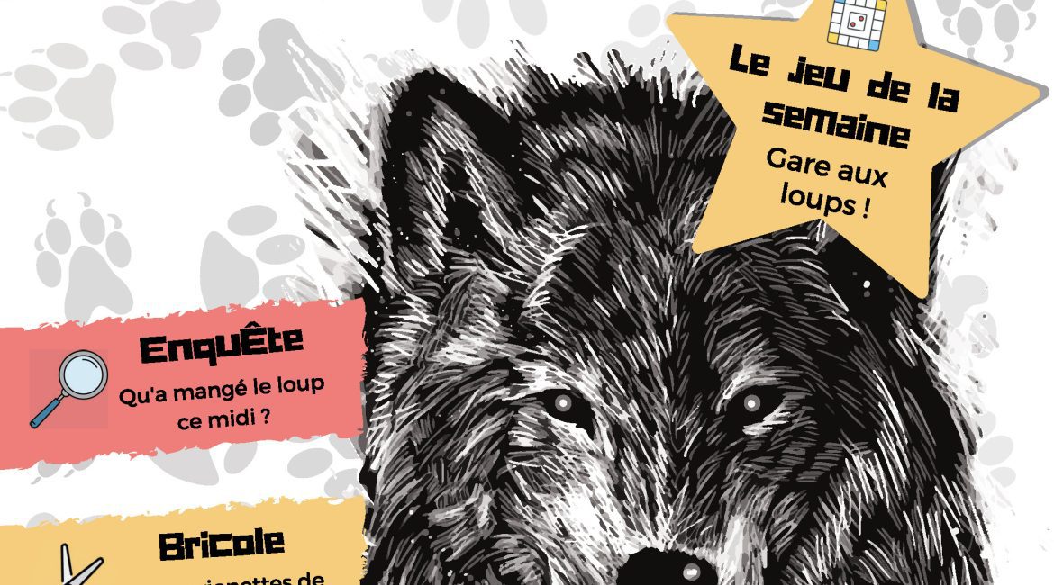 L'Académie des Ouistitis à la rencontre des loups