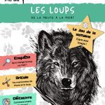 L'Académie des Ouistitis à la rencontre des loups
