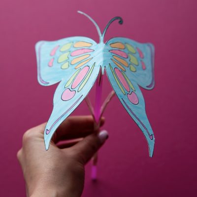 Mon papillon qui s&rsquo;envole