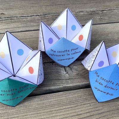 Mes cocottes pour gérer mes émotions