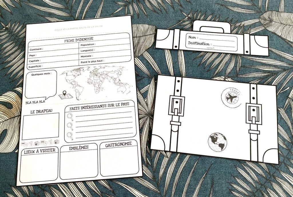 Valise pays par pays - 2