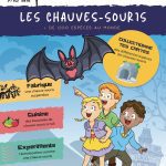 L'Académie des Ouistitis étudie les chauves-souris