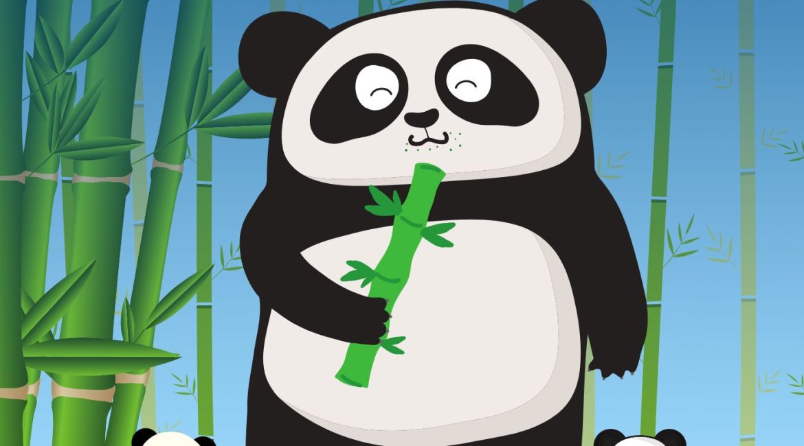 Les P'tits Ouistitis s'intéressent aux pandas
