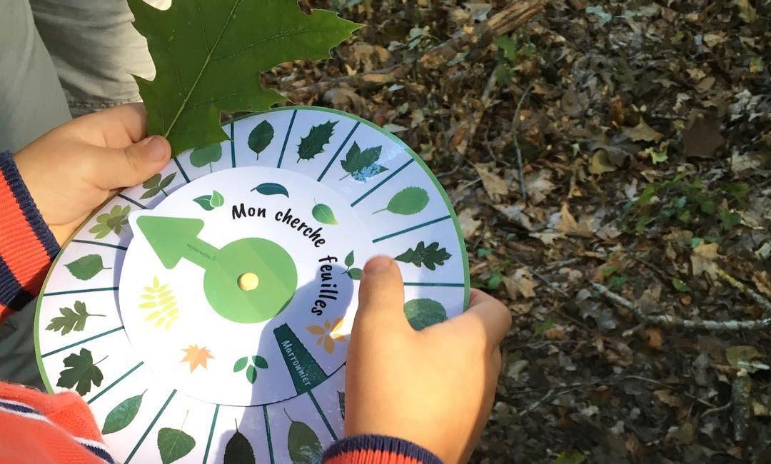 Mon cherche feuilles dans la forêt