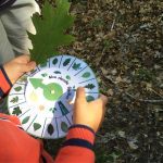 Mon cherche feuilles dans la forêt