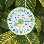 Mon Cherche Feuilles des arbres de la forêt