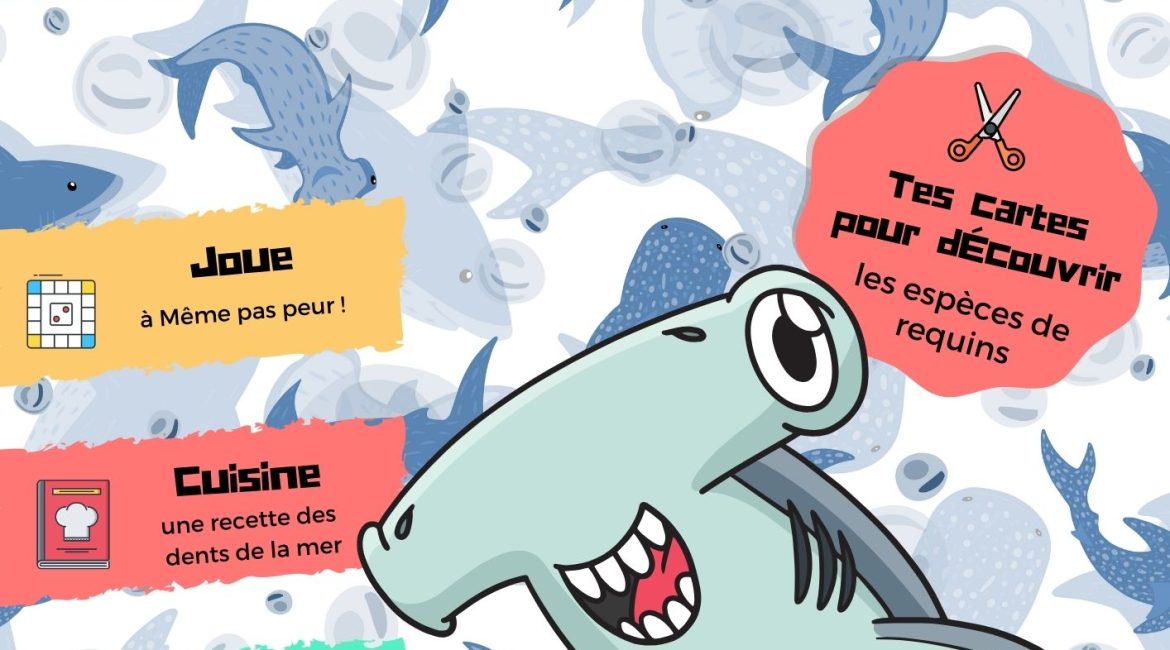 L'Académie des Ouistitis à la rencontre des requins