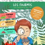 L'Académie des Ouistitis à la découverte du monde passionnant des fourmis