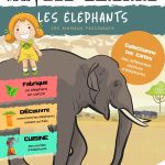 L'Académie des Ouistitis à la rencontre des éléphants
