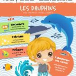 L'Académie des Ouistitis et les dauphins