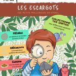 L'Académie des Ouistitis observe les escargots