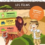 L'Académie des Ouistitis à la rencontre des félins