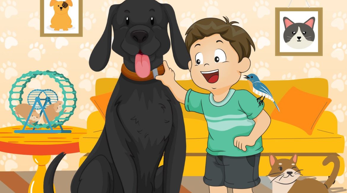 Les p'tits ouistitis et les animaux de compagnie