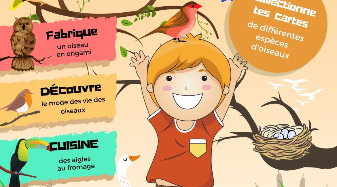 L'Académie des Ouistitis observe les oiseaux