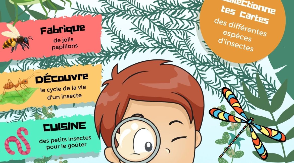 L'Académie des Ouistitis observe des insectes
