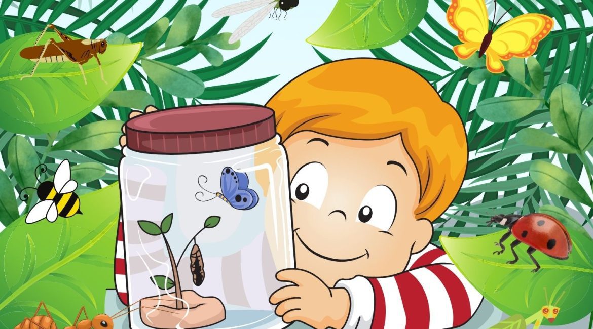 Les P'tits Ouistitis observent les insectes