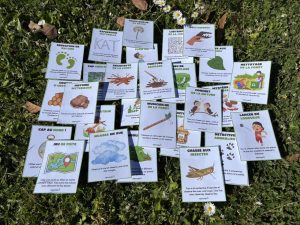 27 défis plein air pour s’amuser en nature !