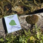 27 défis plein air pour s’amuser en nature !