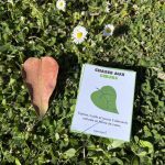 27 défis plein air pour s’amuser en nature !