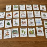 27 défis plein air pour s’amuser en nature !