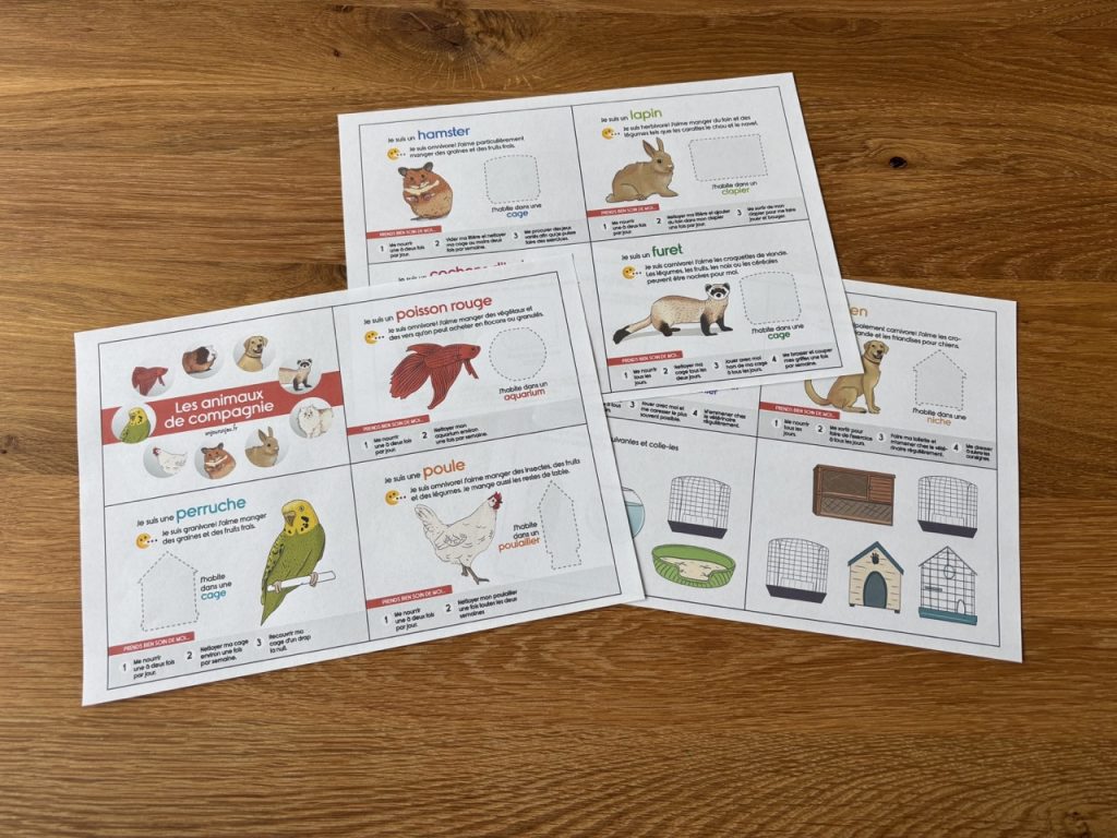 Les animaux de compagnie