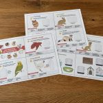 Les animaux de compagnie