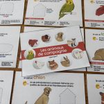 Mon livret à compléter sur les animaux de compagnie