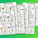 Mon guide des traces d'animaux