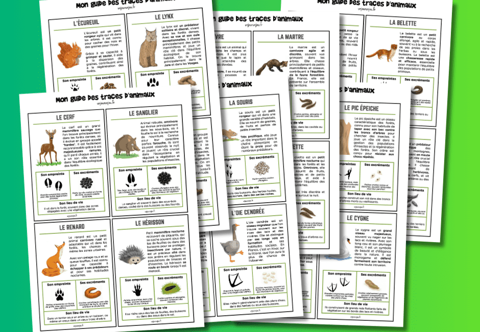 Mon guide des traces d'animaux
