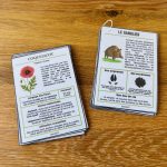 Mon guide des fleurs sauvages pour les sorties nature