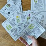 Mon guide des fleurs sauvages pour les sorties nature