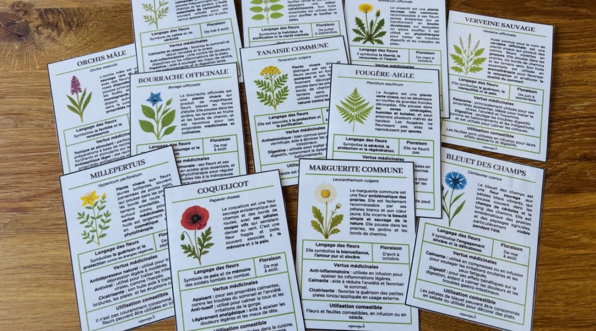 Fleurs sauvages