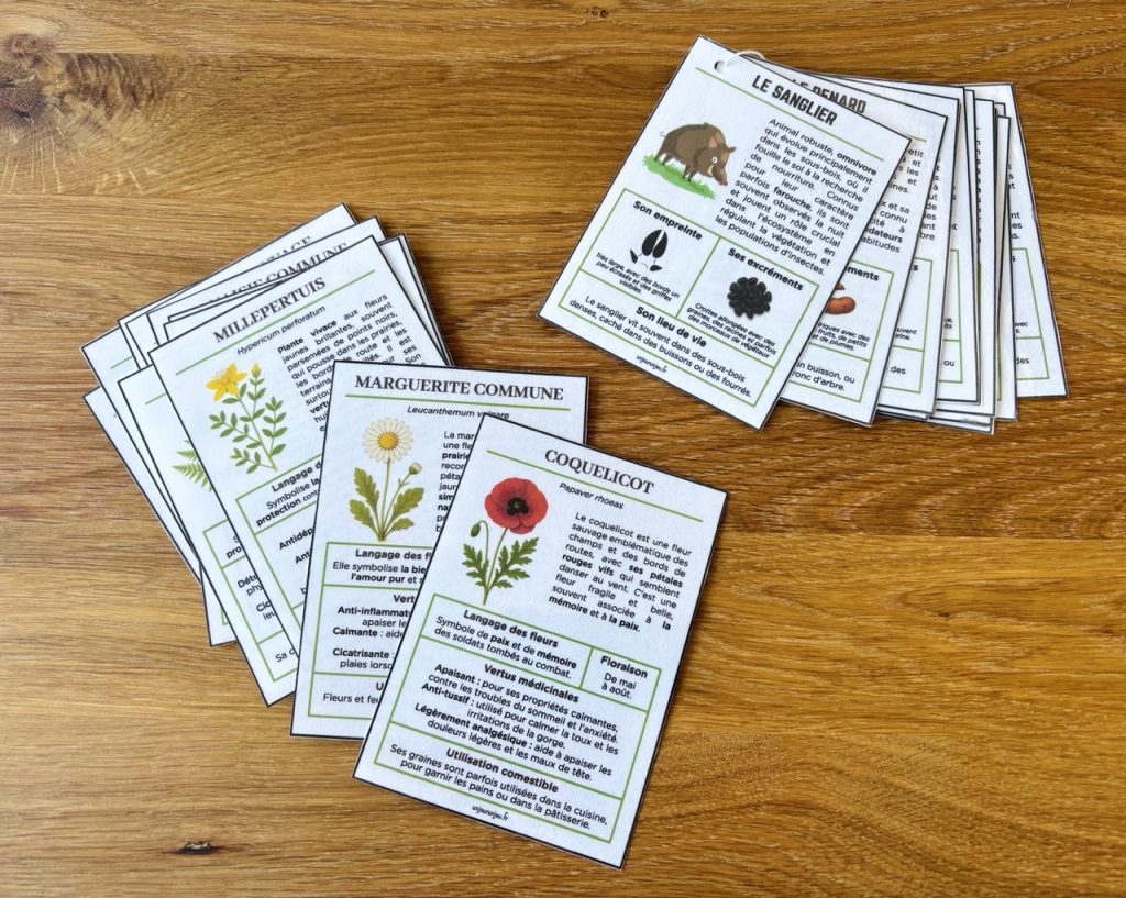 Guide fleurs sauvages et traces des animaux