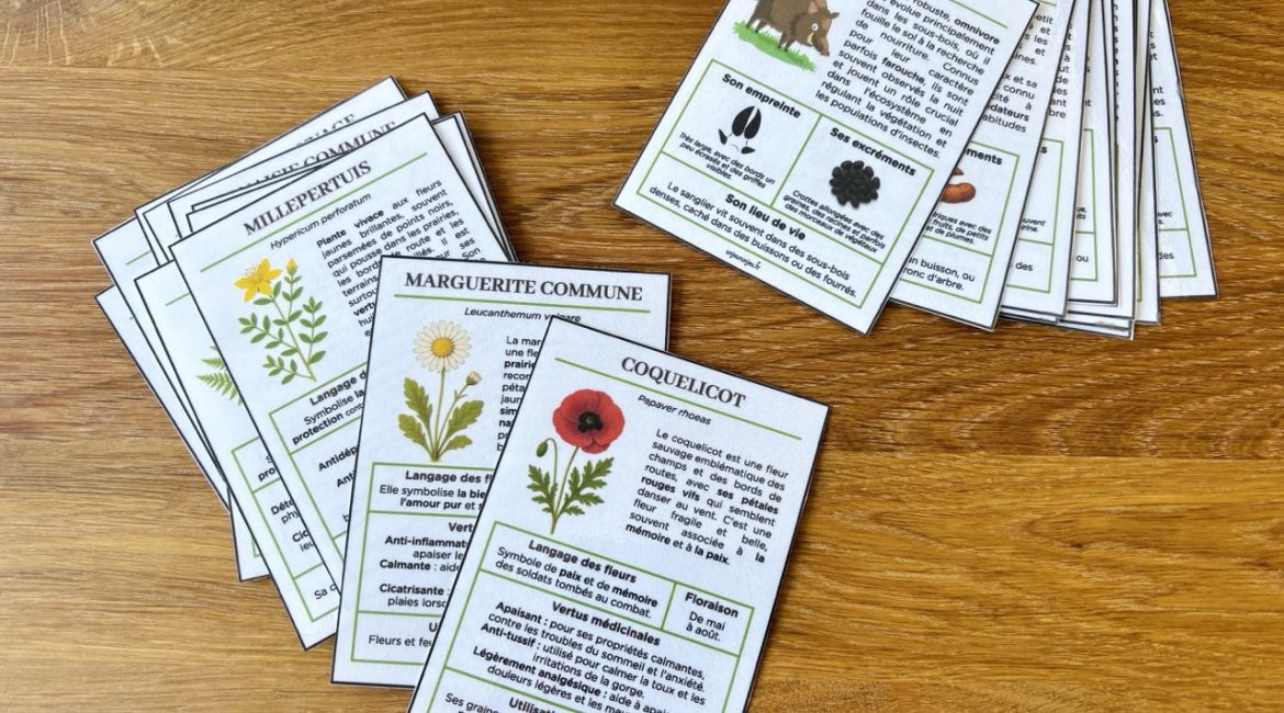 Guide fleurs sauvages et traces des animaux