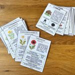 Guide fleurs sauvages et traces des animaux