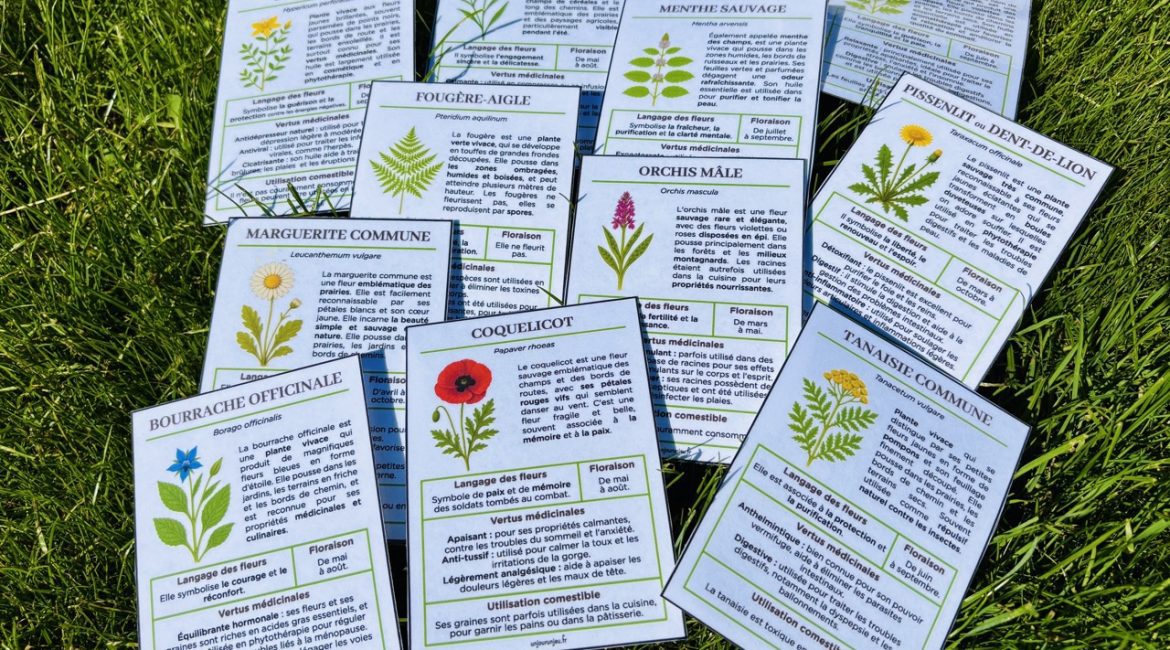 Guide Fleurs Sauvages unjourunjeu
