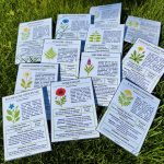 Guide Fleurs Sauvages unjourunjeu