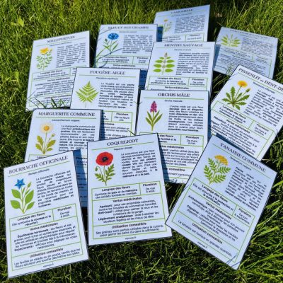 Guide Fleurs Sauvages unjourunjeu