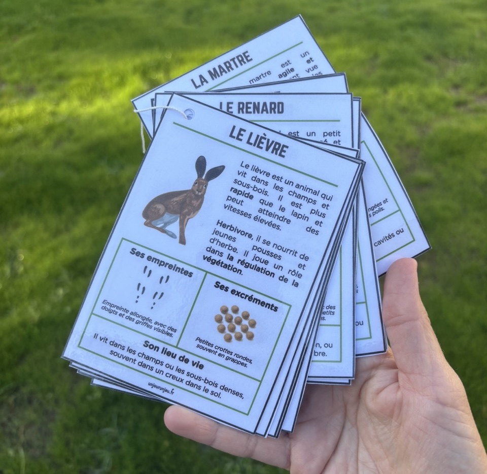 Mon guide des traces d'animaux unjourunjeu